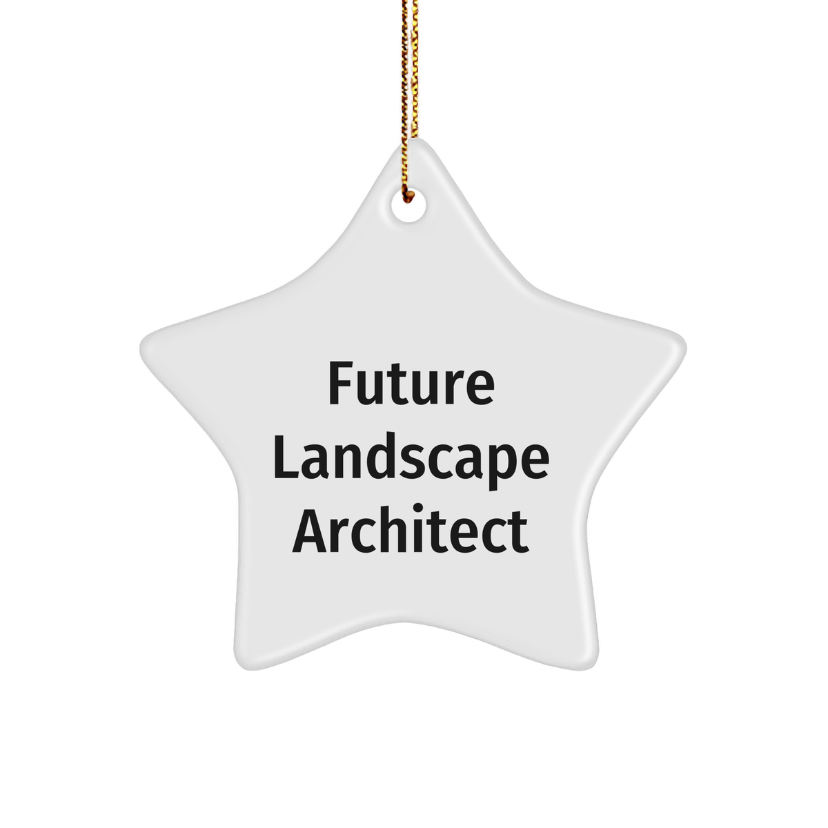Funny Future Landscape Architect Gifts from Friends for Christmas Ornament, Star Shaped, Durable MDF, Inspirational Quote, Gift Ideas for Men - Image 1