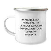 Load image into Gallery viewer, Funny Assistant Principal Gifts, Christmas Unique Mugs, I&#39;m An Assistant Principal. My Level Of Sarcasm Depends On Your Level Of Stupidity., Stainless Steel Camping Mug - Image 1
