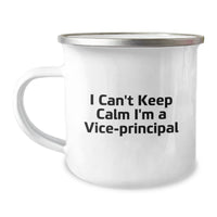 Load image into Gallery viewer, Funny Vice-principal Gifts from Friends, Unique Christmas Unique Gift for Men Vice-principal, Camping Mug - I Can&#39;t Keep Calm I&#39;m A Vice-principal - Image 1
