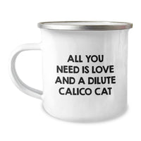 Load image into Gallery viewer, Dilute Calico Cat Lover&#39;s Camping Mug Gifts from Friends for Christmas - Image 1
