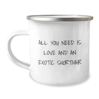 Load image into Gallery viewer, Exotic Shorthair Cat Lover Camping Mug Gifts from Family for Exotic Shorthair Cat Christmas Unique Presents with Funny Quote - Image 1
