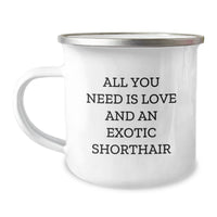 Load image into Gallery viewer, Exotic Shorthair Cat Lover Gifts from Friends - All You Need Is Love Camping Mug for Christmas Unique Presents - Image 1
