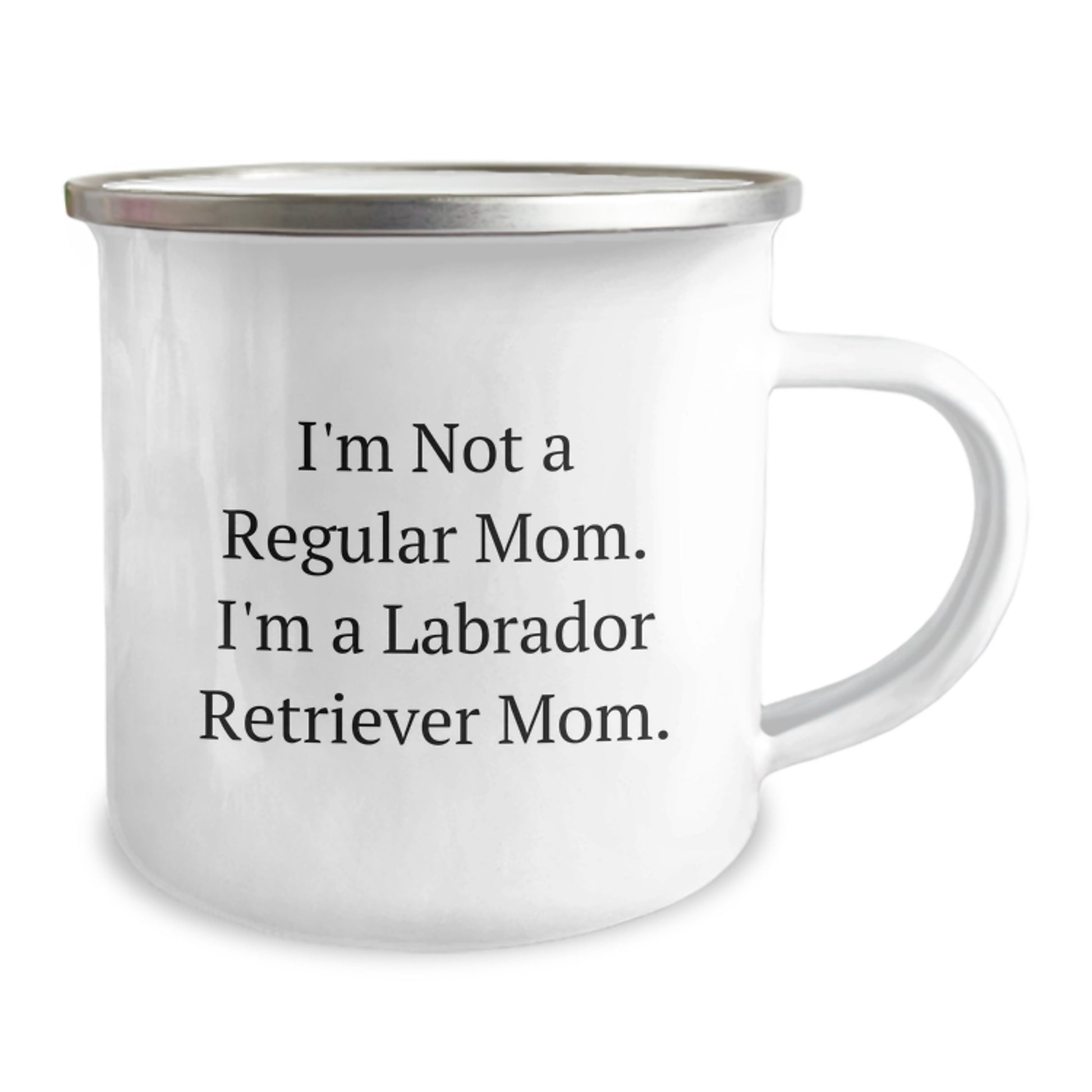 Labrador Retriever Dog Gifts for Mom Funny Camping Mug I'm Not A Regular Mom, Gifts from Family for Graduation - Image 2
