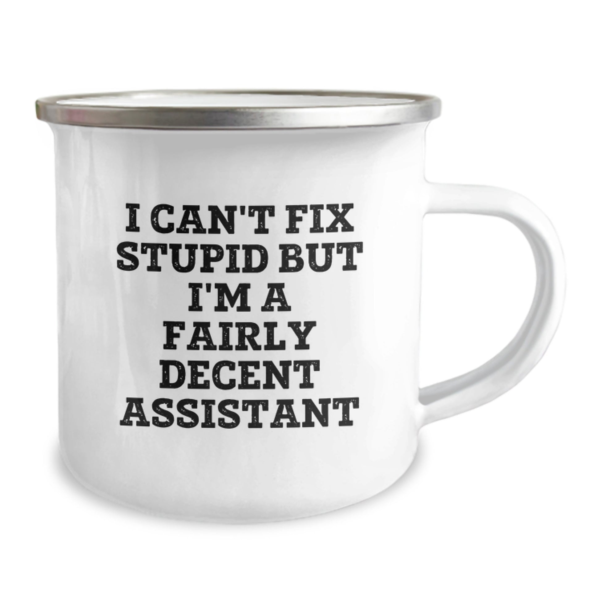 Funny Assistant Gifts, I Can't Fix Stupid But I'm A Fairly Decent Assistant, Birthday Unique Gifts from Friends to Assistant - Image 2