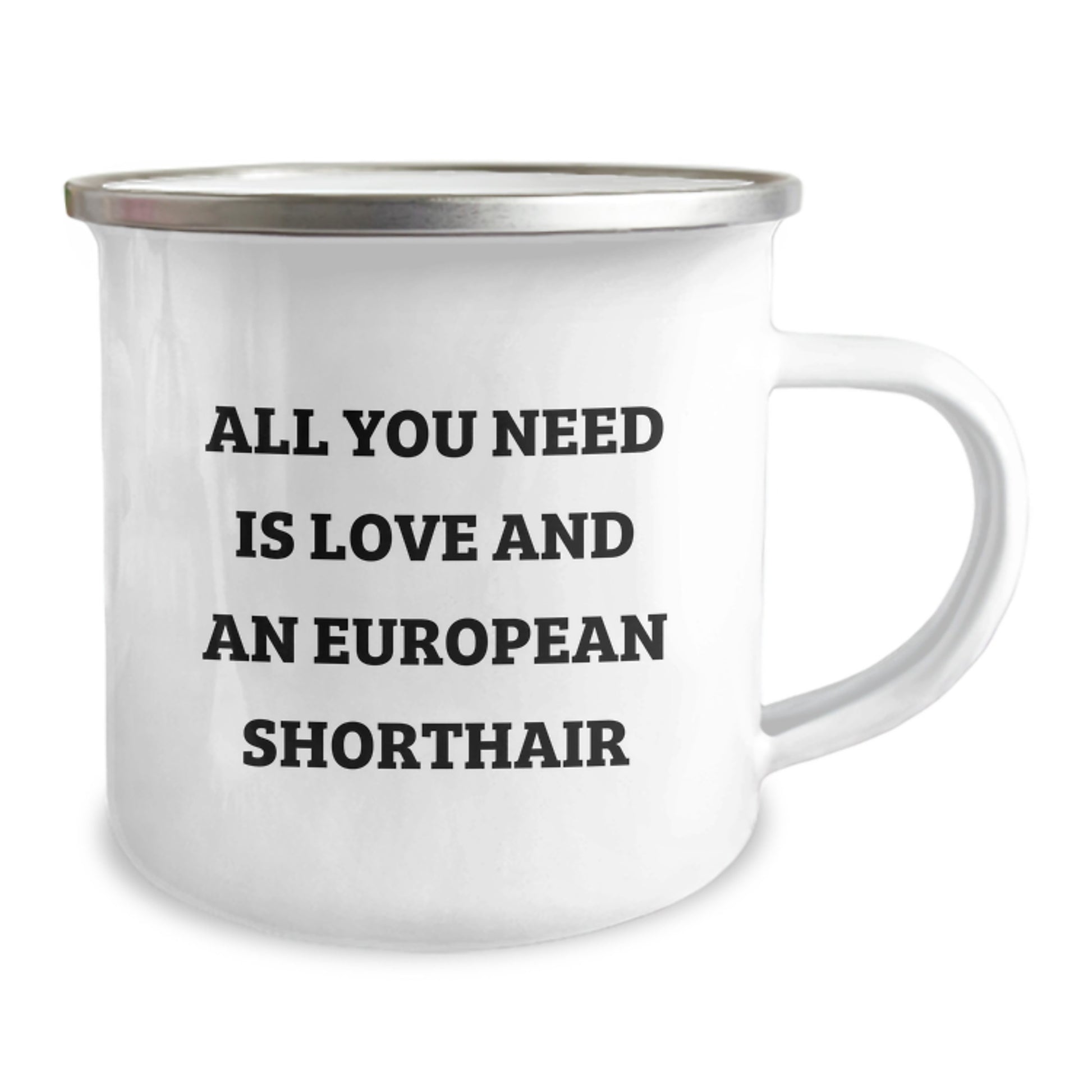European Shorthair Cat Lovers Gifts from Friends and Family - All You Need Is Love And An European Shorthair Graduation Unique Gifts - Image 2
