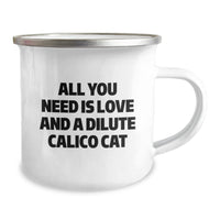 Load image into Gallery viewer, Dilute Calico Cat Lover Gifts from Friends - Funny Dilute Calico Cat Quote Christmas Unique Mug - Image 2
