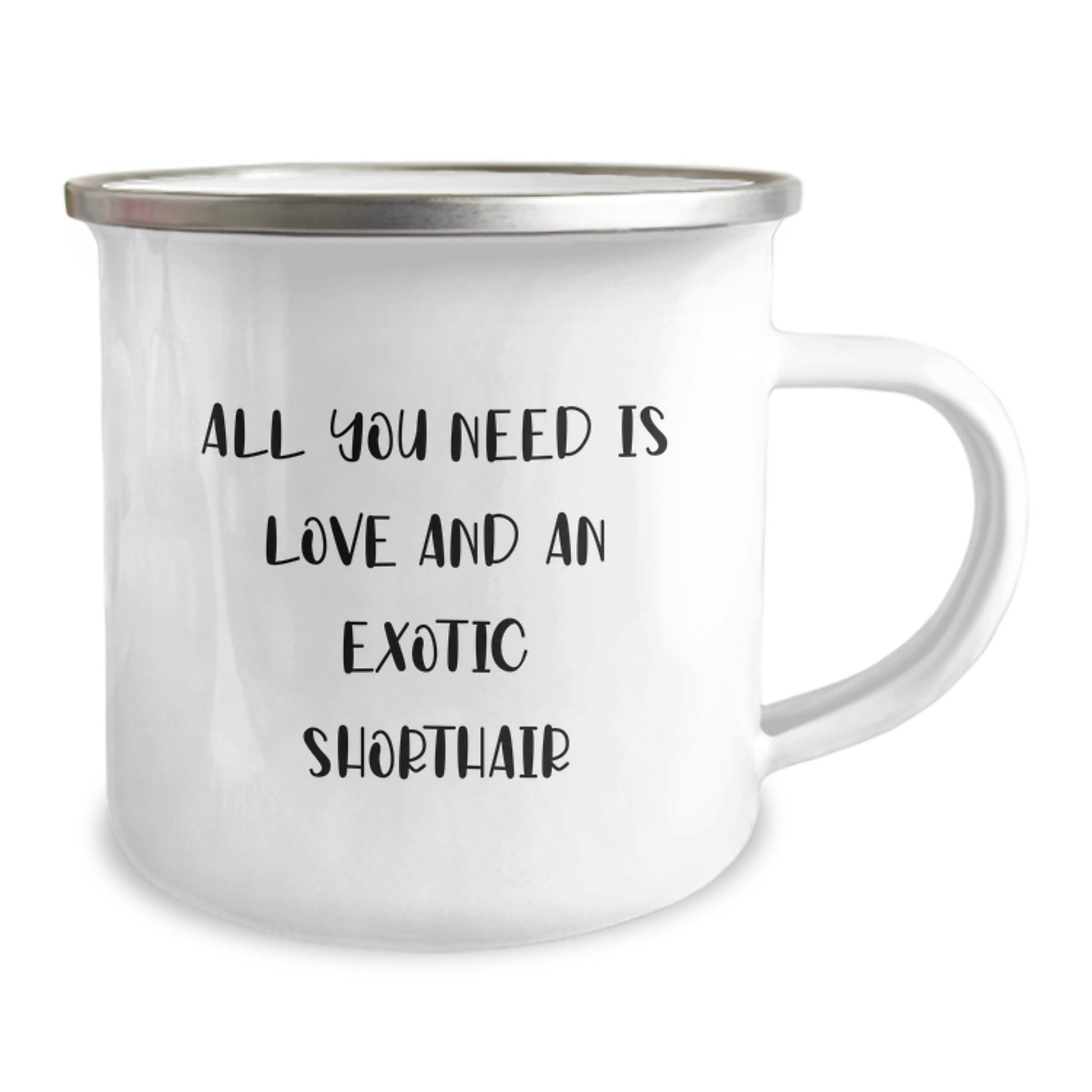 Exotic Shorthair Cat Lovers Gifts from Family - Funny Camping Mug for Exotic Shorthair Cat Enthusiasts, Christmas Unique Gifts for Friends and Family - Image 2