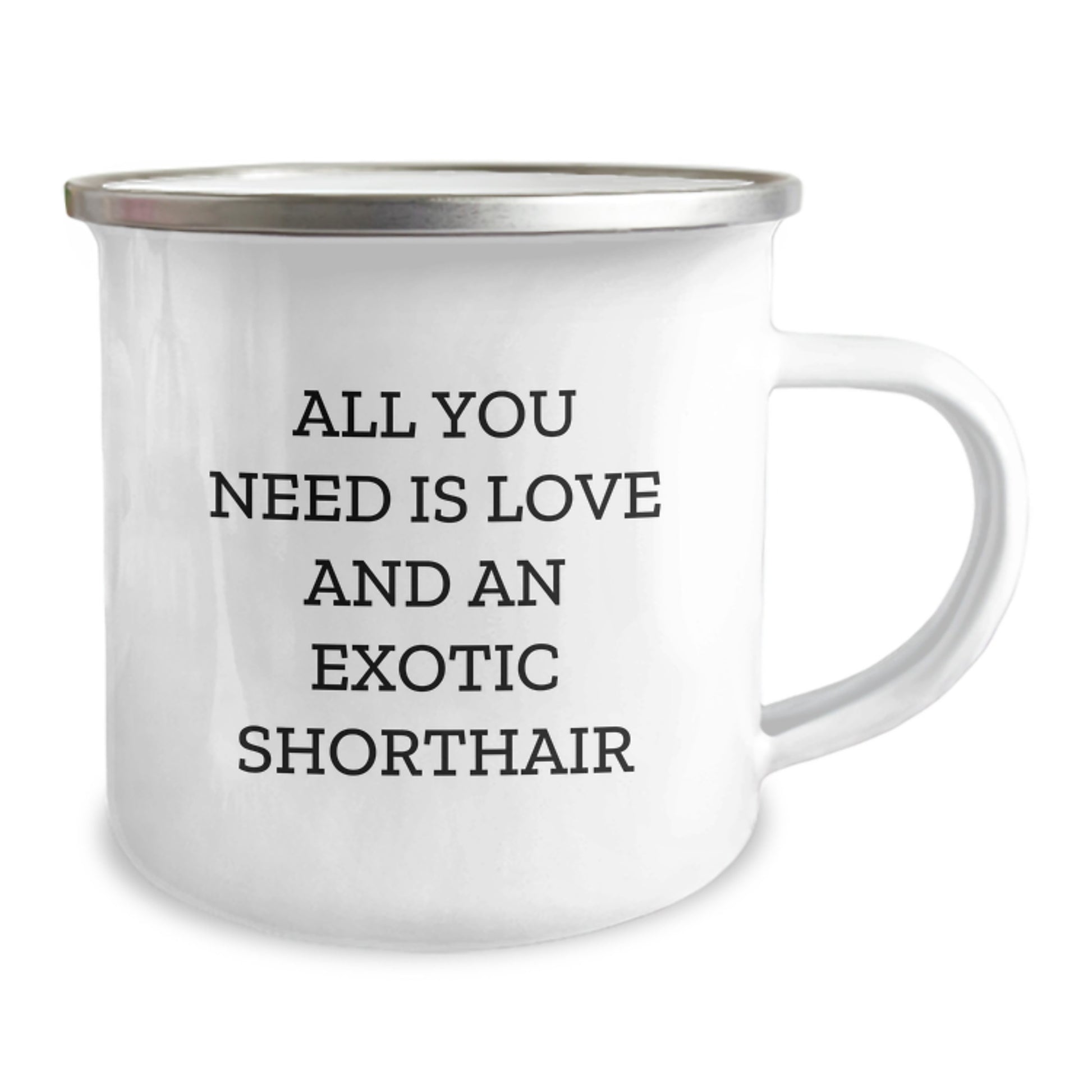 Exotic Shorthair Cat Lover Gifts from Friends - All You Need Is Love Camping Mug for Christmas Unique Presents - Image 2
