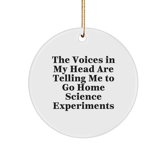 Whimsical Voices Home Science Experiments Xmas Ornament for Friends Gift - Image 1