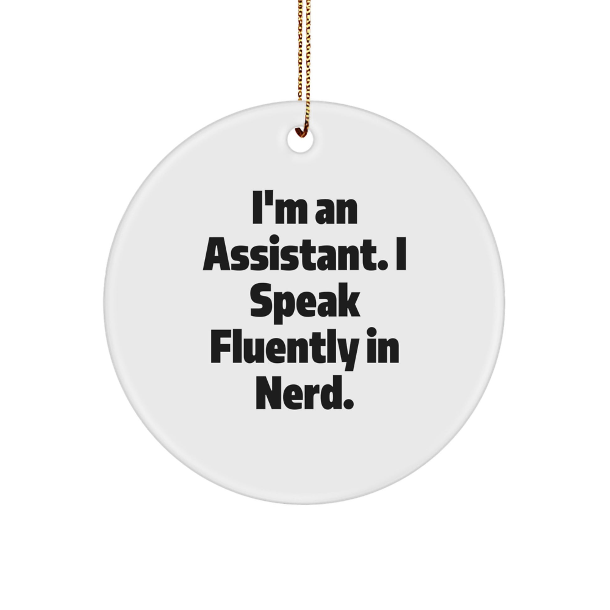 Funny Assistant Circle Ornament Gifts from Friends for Christmas Unique - Image 1