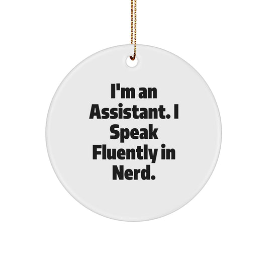 Funny Assistant Circle Ornament Gifts from Friends for Christmas Unique - Image 1