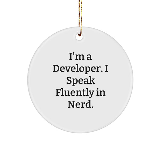 Funny Quote Developer Circle Ornament Gifts from Friends for Developer - Image 1