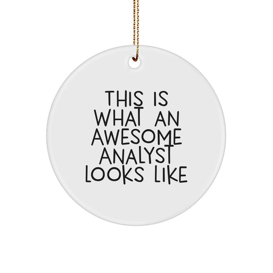 Funny Analyst Gifts from Friends - This Is What An Awesome Analyst Looks Like Christmas Unique Circle Ornaments for Analyst Men - Image 1
