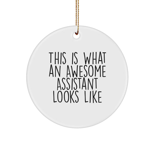 Funny Quotes Assistant Circle Ornament Gifts from Men or Women, Christmas Unique Accessories for Assistant Friends or Family - Image 1
