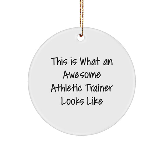 Funny Athletic Trainer Circle Ornaments, Gifts for the Awesome Trainer, Inspirational Quote This Is What an Awesome Trainer Looks Like - Image 1