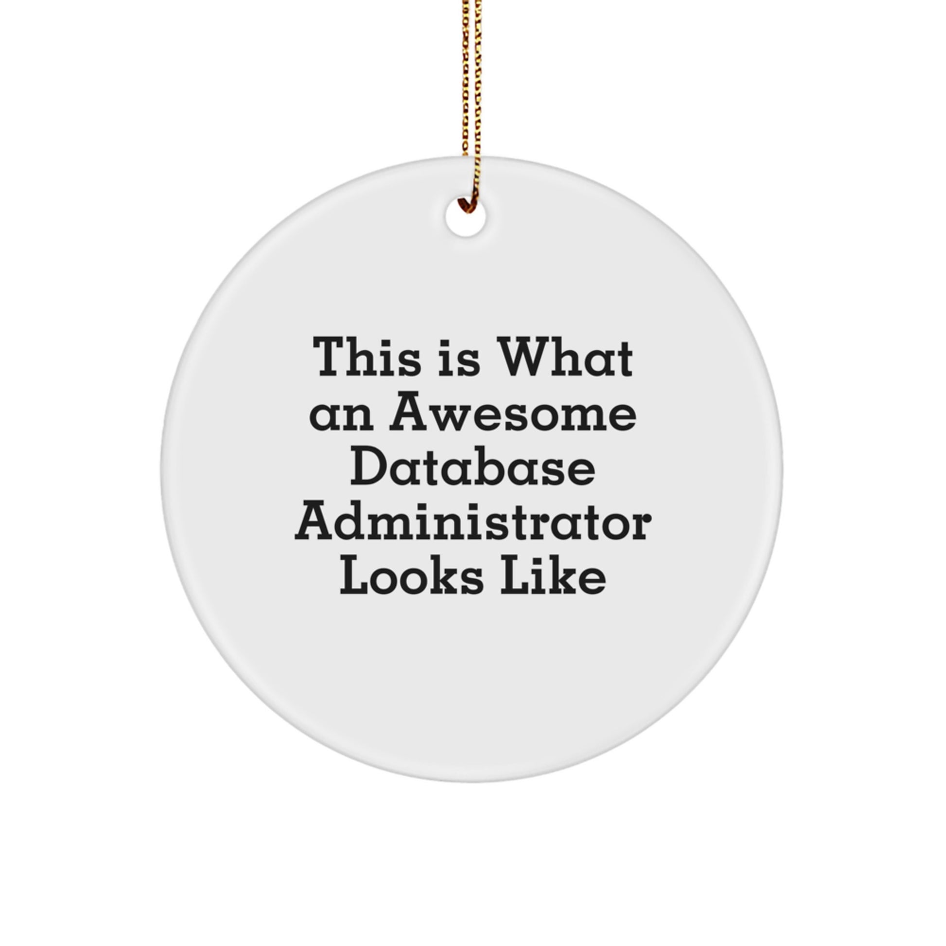 Database Administrator Keepsake Christmas Ornament for Him Gift - Image 1