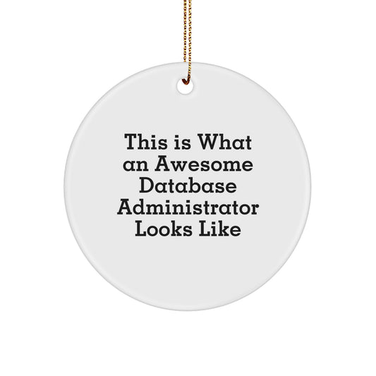 Database Administrator Keepsake Christmas Ornament for Him Gift - Image 1