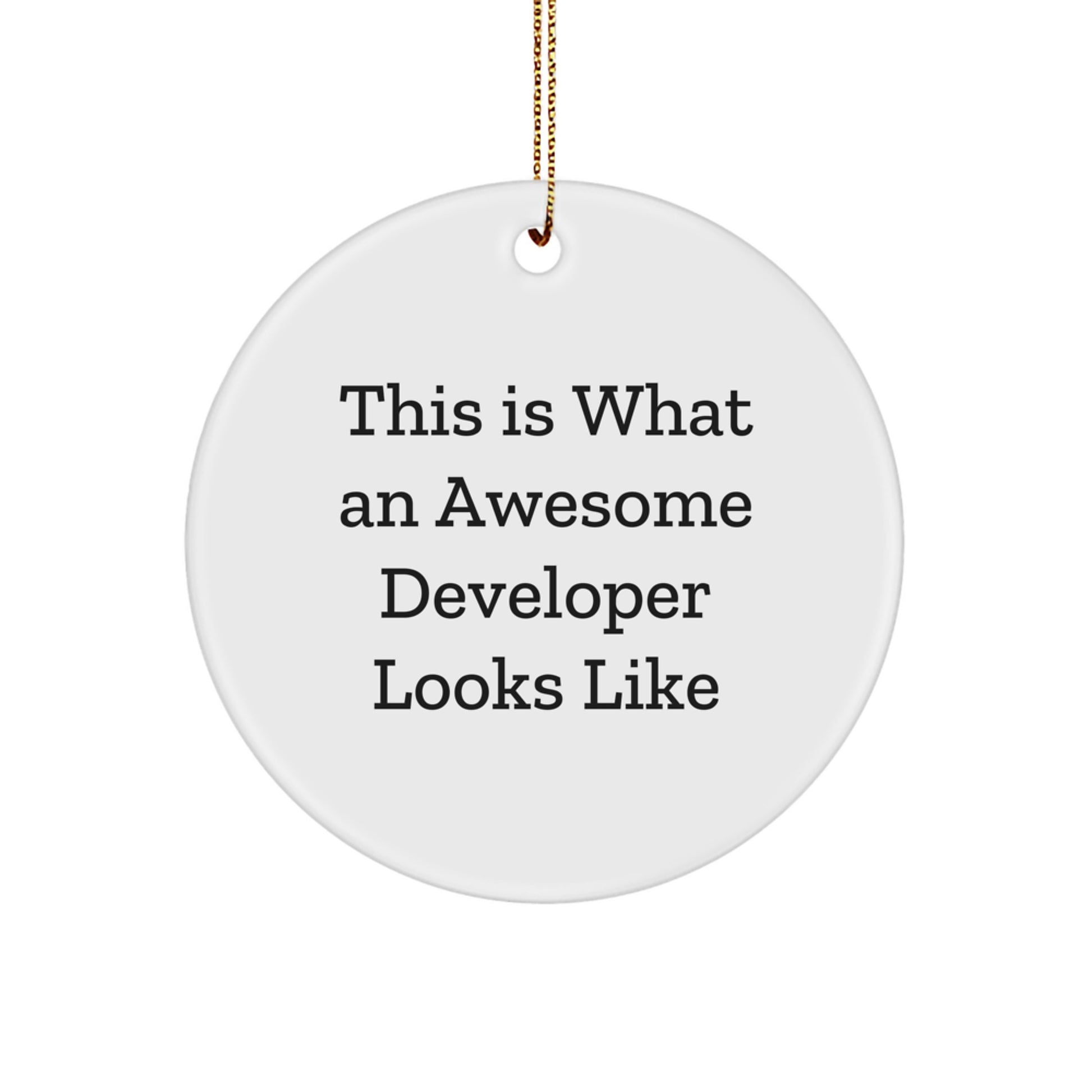 Funny Developer Gifts from Friends for Men - This Is What An Awesome Developer Looks Like White Circle Ornament, Christmas Unique Gifts for Family - Image 1