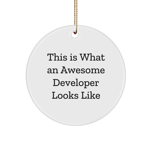 Funny Developer Gifts from Friends for Men - This Is What An Awesome Developer Looks Like White Circle Ornament, Christmas Unique Gifts for Family - Image 1