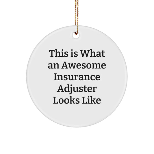 Funny Insurance Adjuster Gifts, Circle Ornament for Insurance Adjuster Friends, This Is What An Awesome Insurance Adjuster Looks Like Gift - Image 1