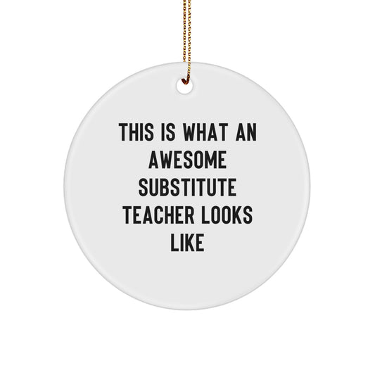 Funny Substitute Teacher Gifts from Friends to Awesome Substitute Teachers, Circle Ornament, This Is What An Awesome Substitute Teacher Looks Like Christmas Unique Ornaments - Image 1