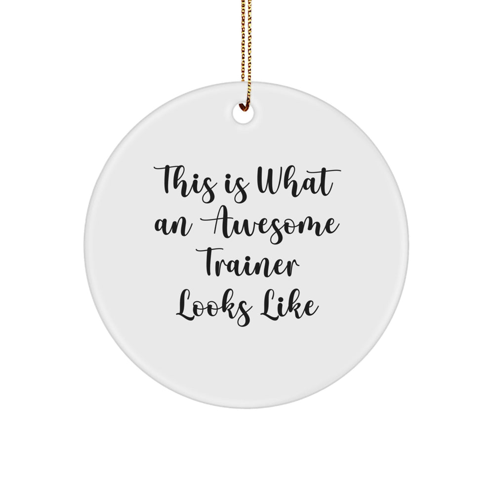Trainer Gifts from Men for This Is What An Awesome Trainer Looks Like Circle Ornament, Funny Christmas Unique Gift for Trainers - Image 1
