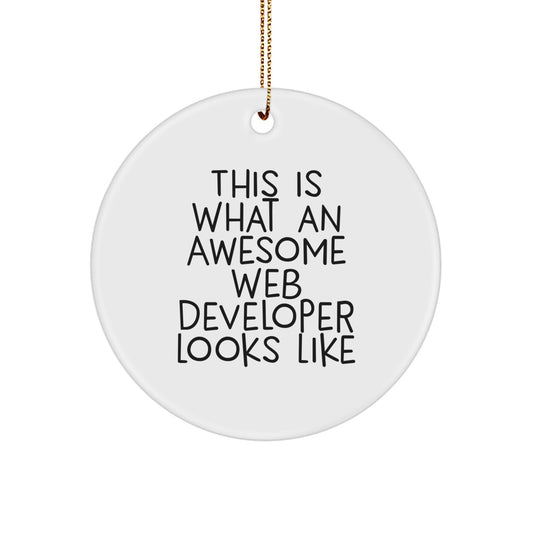 Web Developer Christmas Ornament Celebrating Idea for Coworkers Gift Joy - Image 1