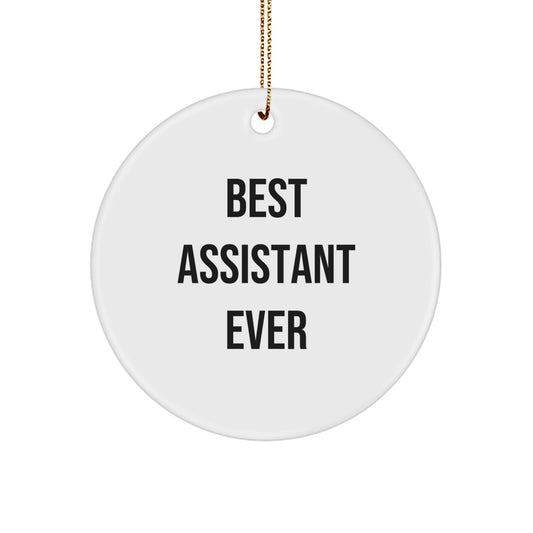 For Him Keepsake Christmas Ornament Gift - Best Assistant Ever - Image 1
