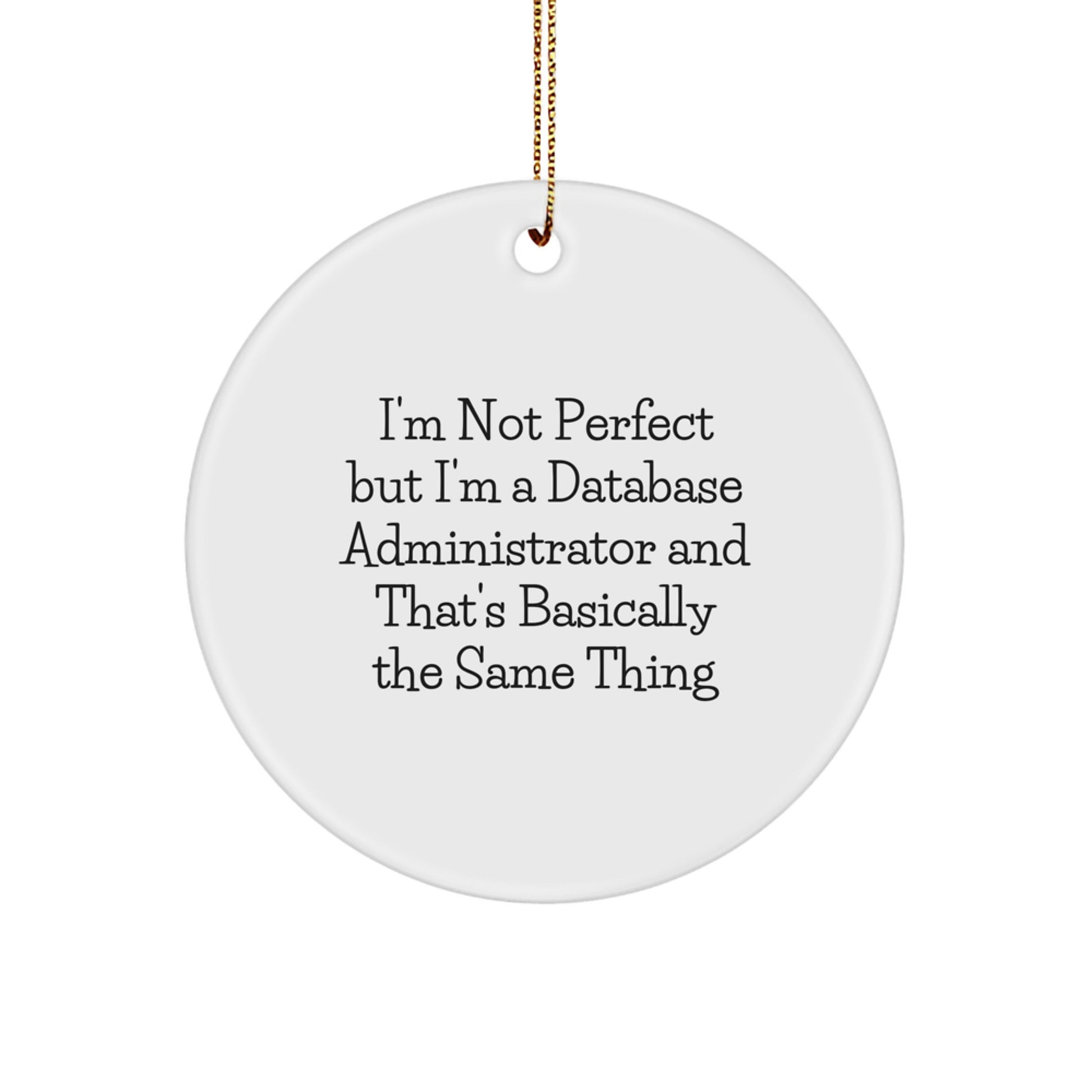 Christmas Gift for Teens Surprise Database Administrator Ornament - Image 1