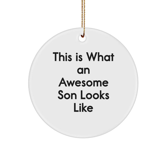 Funny Son Circle Ornament, Gifts from Mom, 'This Is What An Awesome Son Looks Like', Christmas Unique Gifts for Son - Image 1