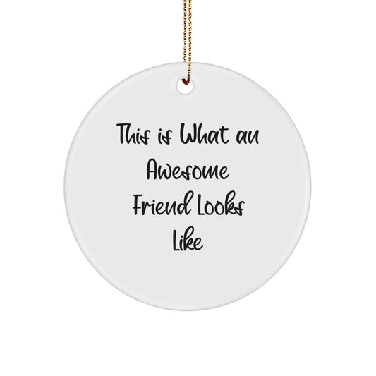 Friend Circle Ornament, 'This Is What An Awesome Friend Looks Like' Funny Quote, Christmas Unique Gifts from Men to Women, Unique Circle Ornament for Friends, Coworkers, or Family - Image 1