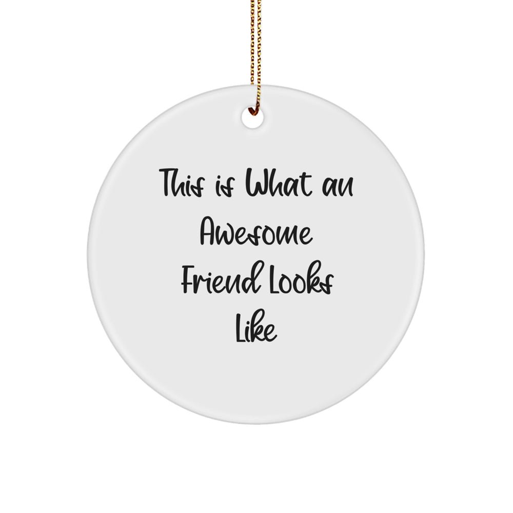 Friend Circle Ornament, 'This Is What An Awesome Friend Looks Like' Funny Quote, Christmas Unique Gifts from Men to Women, Unique Circle Ornament for Friends, Coworkers, or Family - Image 1
