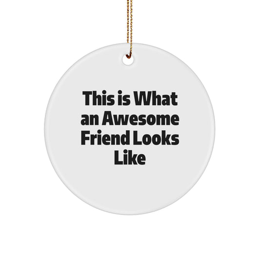 Funny Friend Circle Ornament, Gifts from Friends for Friends, This Is What An Awesome Friend Looks Like, Christmas Unique Gifts for Men, Women, or Coworkers - Image 1