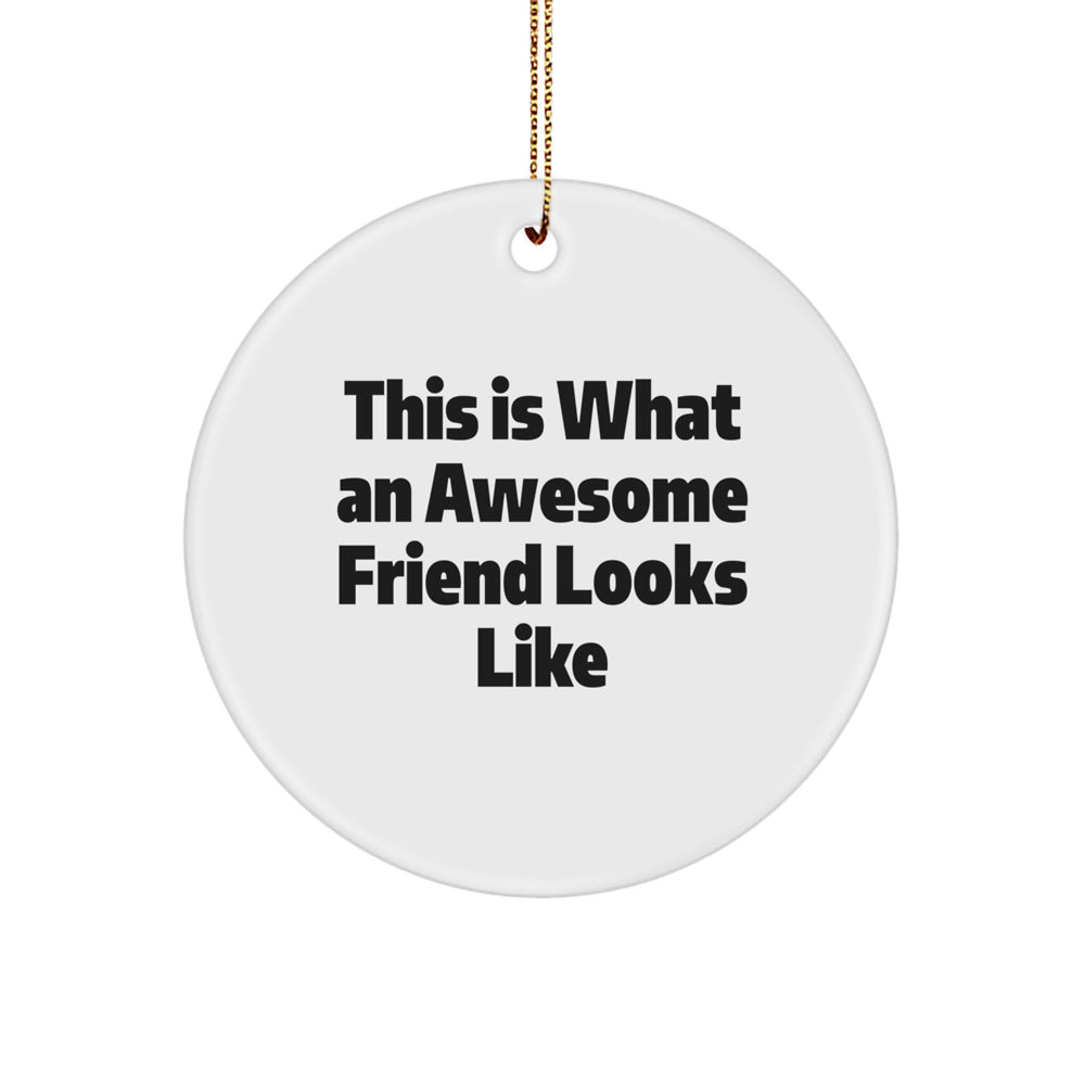 Funny Friend Circle Ornament, Gifts from Friends for Friends, This Is What An Awesome Friend Looks Like, Christmas Unique Gifts for Men, Women, or Coworkers - Image 1