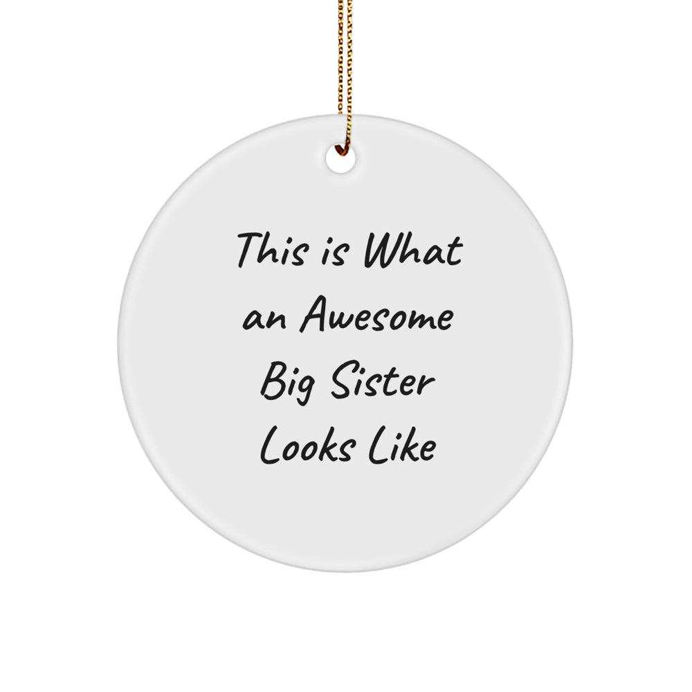Funny Big Sister Circle Ornament Gifts from Friends, Gifts for Big Sister, This Is What An Awesome Big Sister Looks Like - Image 1
