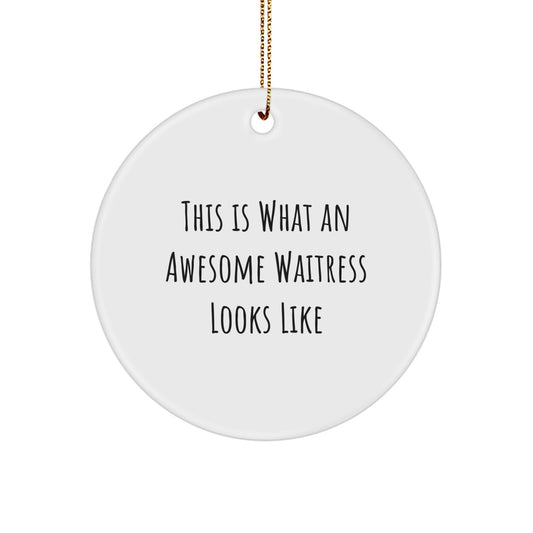 Funny Waitress Gifts for Women, This Is What An Awesome Waitress Looks Like Circle Ornament, Christmas Unique Gifts from Friends - Image 1