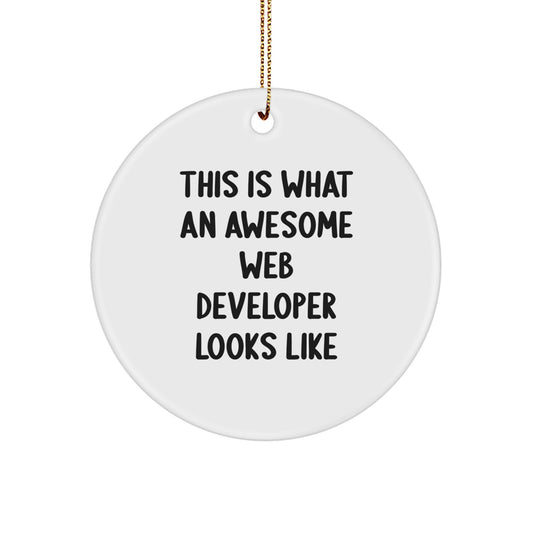 Funny Web Developer Christmas Unique Gift Ideas for Men, Women, Coworkers, Friends from Family - 'This Is What An Awesome Web Developer Looks Like' Circle Ornament - Image 1