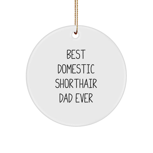 Funny Domestic Shorthair Cat Gifts for Christmas Circle Ornament Best Dad Ever - Image 1