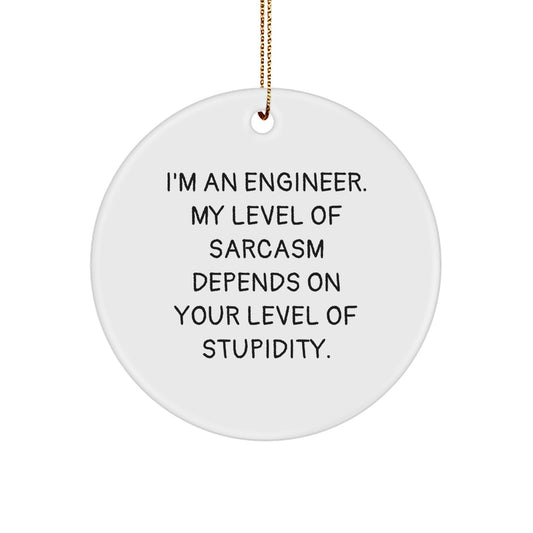Engineer Gifts from Friends, Funny Circle Ornament for Christmas with I'm An Engineer. My Level Of Sarcasm Depends On Your Level Of Stupidity. - Image 1