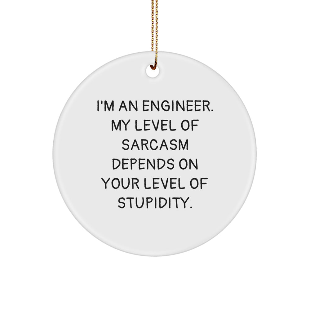 Engineer Gifts from Friends, Funny Circle Ornament for Christmas with I'm An Engineer. My Level Of Sarcasm Depends On Your Level Of Stupidity. - Image 1