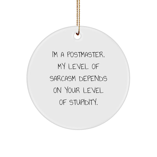 Funny Postmaster Gifts, Sarcasm Level Adjustable Circle Ornament, Unique Christmas Decorations for Postmaster Men, Postmaster Humor - Image 1