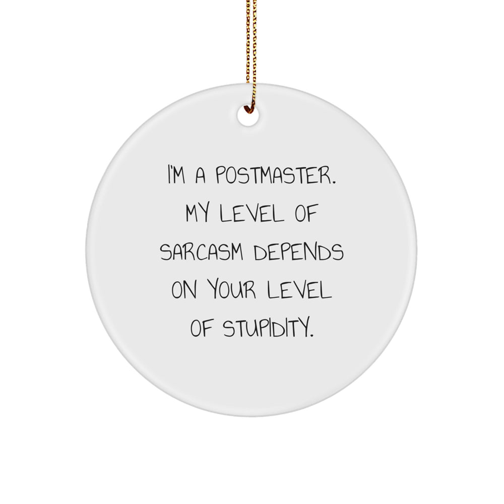 Funny Postmaster Gifts, Sarcasm Level Adjustable Circle Ornament, Unique Christmas Decorations for Postmaster Men, Postmaster Humor - Image 1