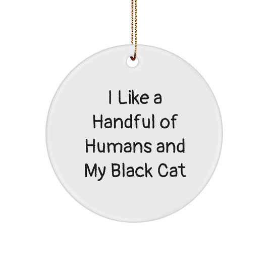 Funny Black Cat Gifts from Friends for Black Cat Enthusiasts, Cute Circle Ornament for Christmas Unique Gifts - Image 1
