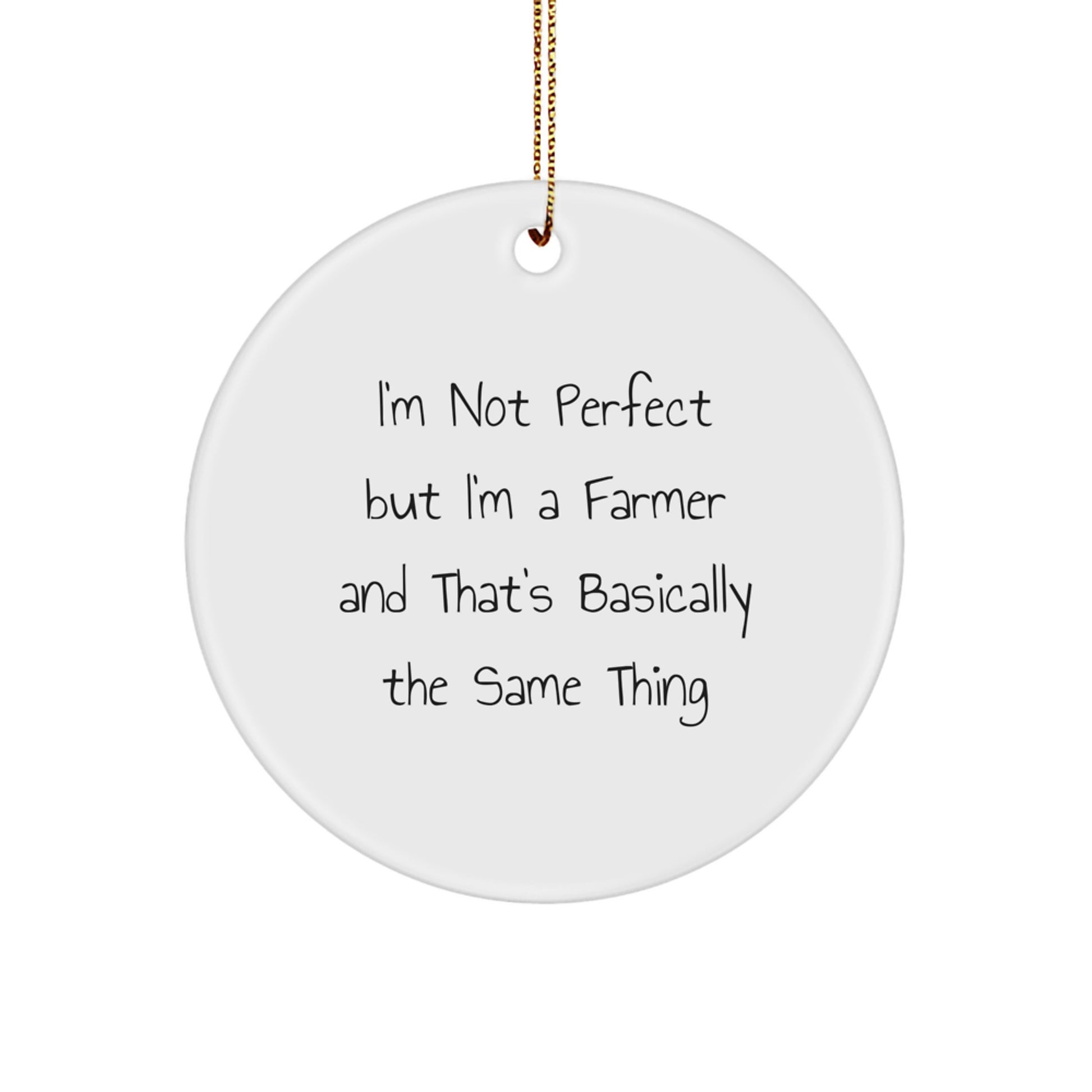 Christmas Gift Farmer Ornament for Teens Surprise - Image 1