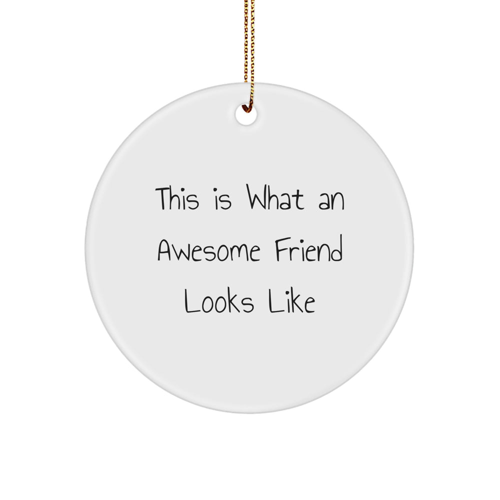Funny Friend Circle Ornament Gifts from Women for Christmas - This Is What An Awesome Friend Looks Like - Image 1