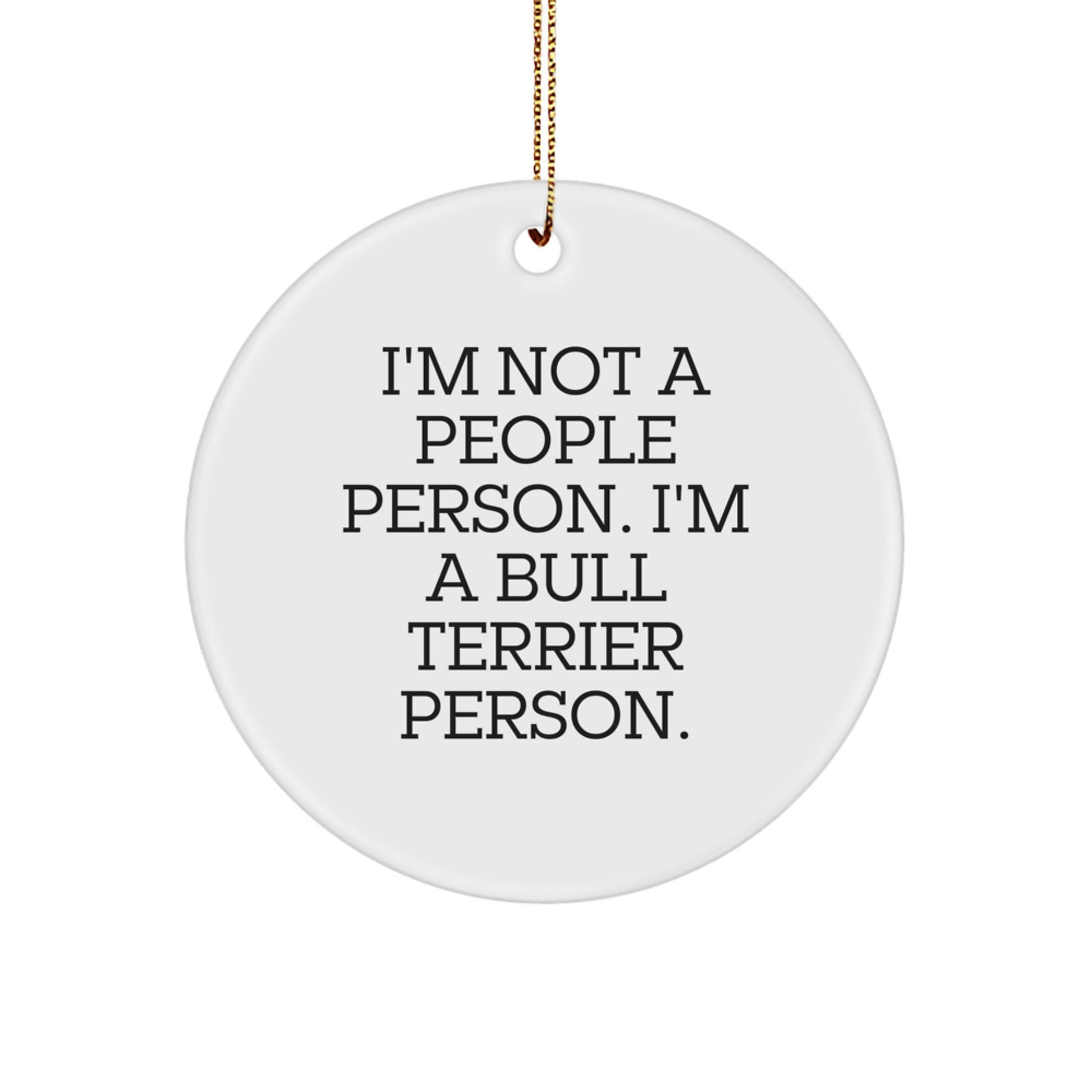 Unique Bull Terrier Dog Lover Gifts from Friends Men Women, Funny Circle Ornaments for Christmas Unique Decorations, I'm A Bull Terrier Person. Christmas Memorable Presents for Family - Image 1