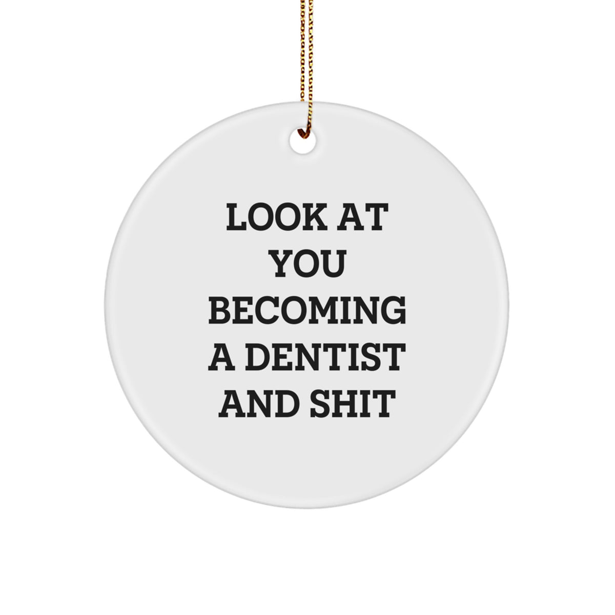 Funny Dentist Gifts for Men, Circle Ornament with Inspirational Quote 'Look At You Becoming A Dentist And Shit', Christmas Unique Gifts from Friends - Image 1