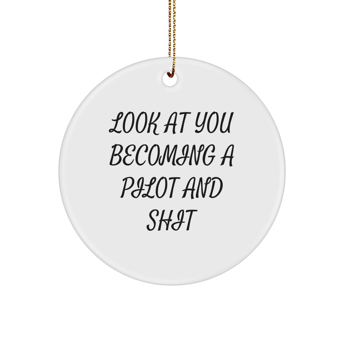 Become a Pilot Gifts for Men, Funny Circle Ornament from Friends, 'Look At You Becoming A Pilot And Shit' Quote, Christmas Unique Pilots' Gift for Coworkers - Image 1