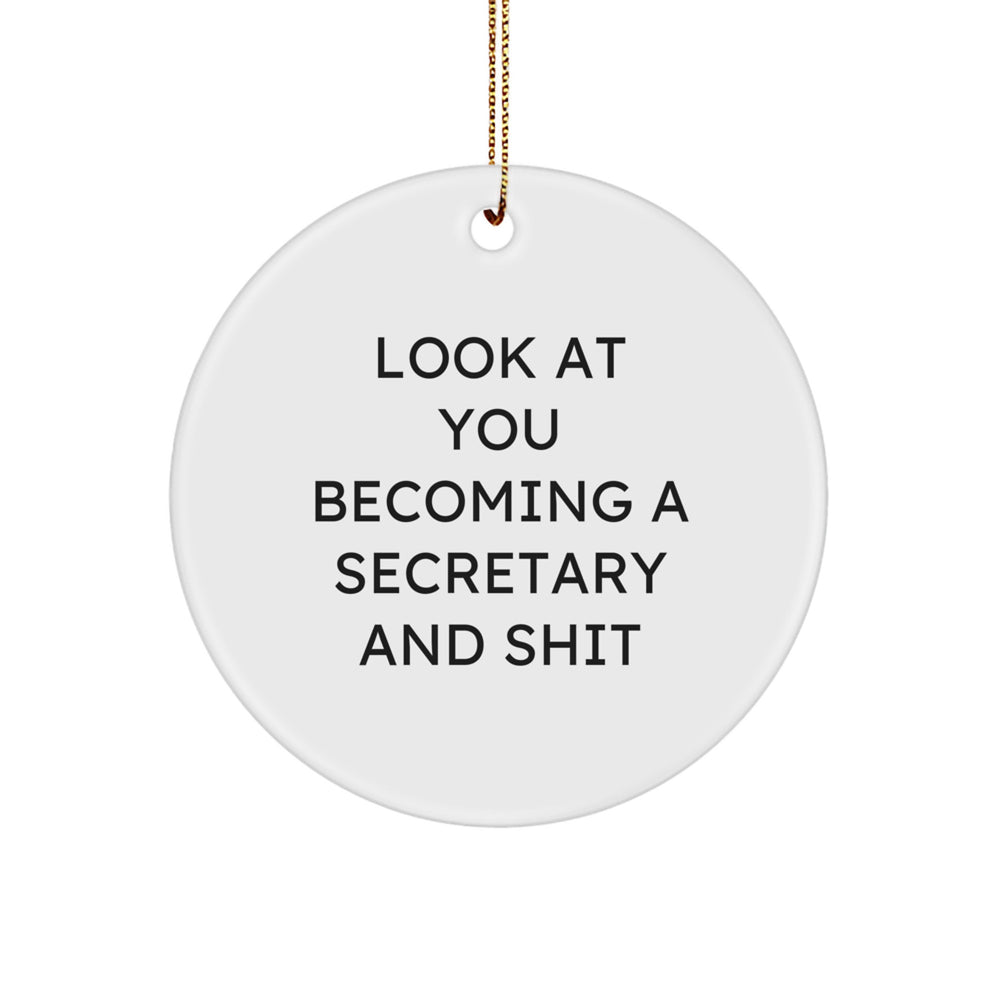 Funny Secretary Christmas Circle Ornament Gifts from Friends for Secretary, 'Look At You Becoming A Secretary And Shit' - Image 1