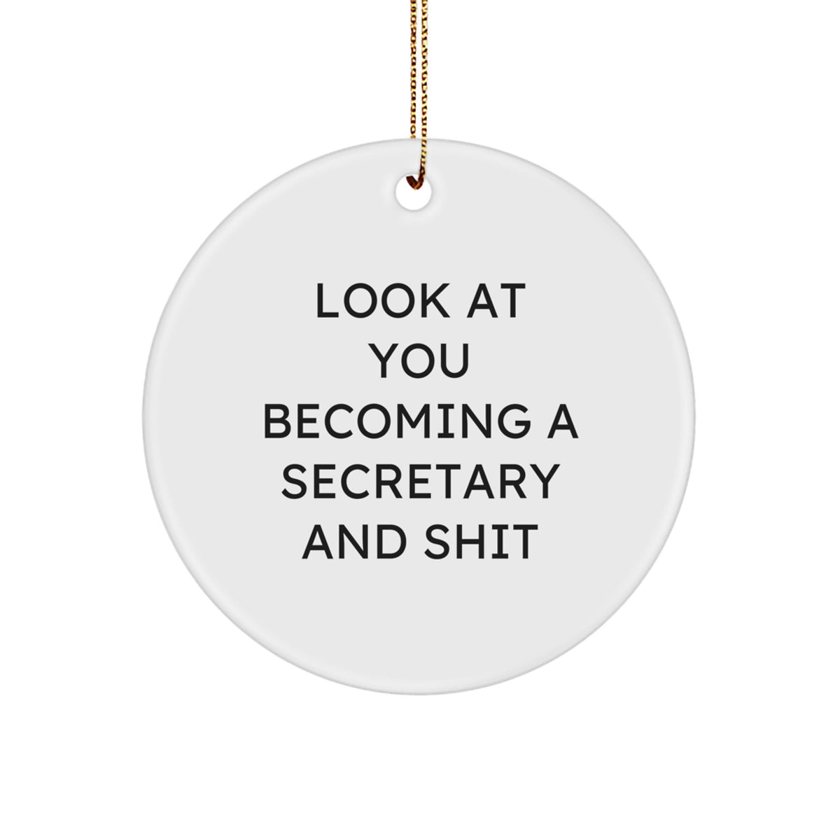 Funny Secretary Christmas Circle Ornament Gifts from Friends for Secretary, 'Look At You Becoming A Secretary And Shit' - Image 1